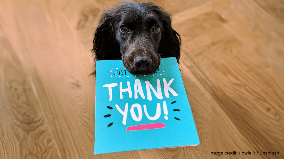 A black dog holds a blue card in its mouth that says "Thank You!" in large white letters, standing on a wooden floor.