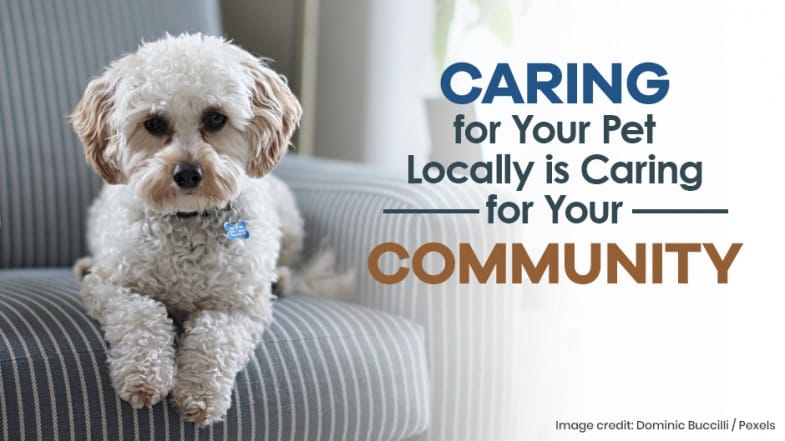 A small, fluffy dog sits on a striped chair next to text that reads, "Caring for your pet locally is caring for your community.