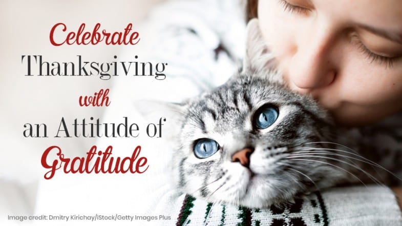 A person hugs a gray tabby cat while text reads, "Celebrate Thanksgiving with an Attitude of Gratitude.