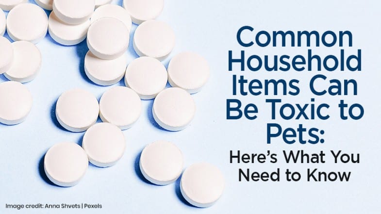 White round tablets scattered on a light blue surface next to text warning that common household items can be toxic to pets.