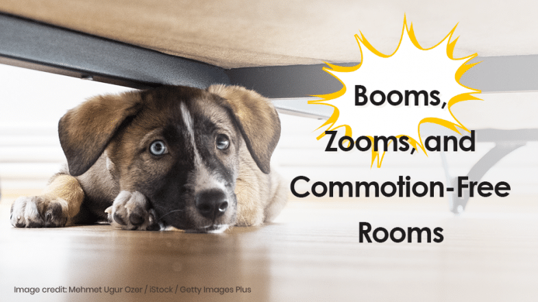 A puppy lies under a bed, looking up with wide eyes, next to the text "Booms, Zooms, and Commotion-Free Rooms" in a yellow burst graphic.