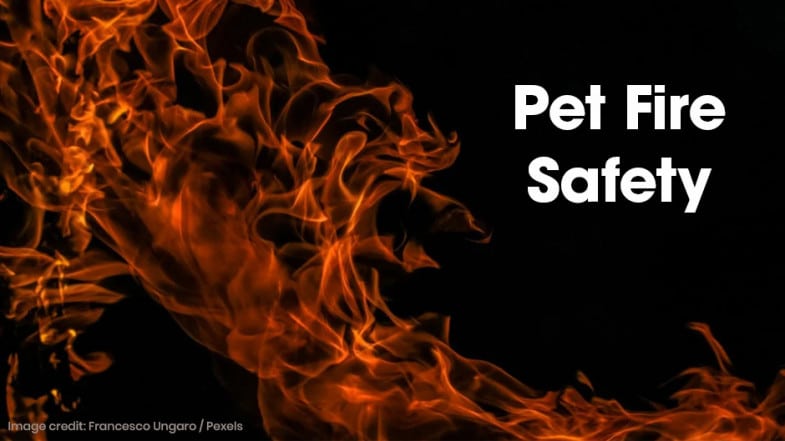 Orange flames against a dark background with the white text "Pet Fire Safety" displayed on the right side.