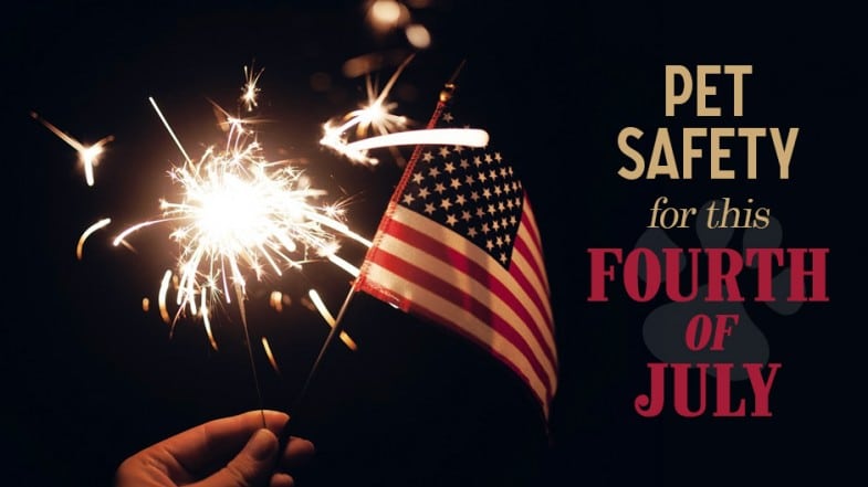 A hand holds a lit sparkler and a small American flag. Text reads: "Pet safety for this Fourth of July.