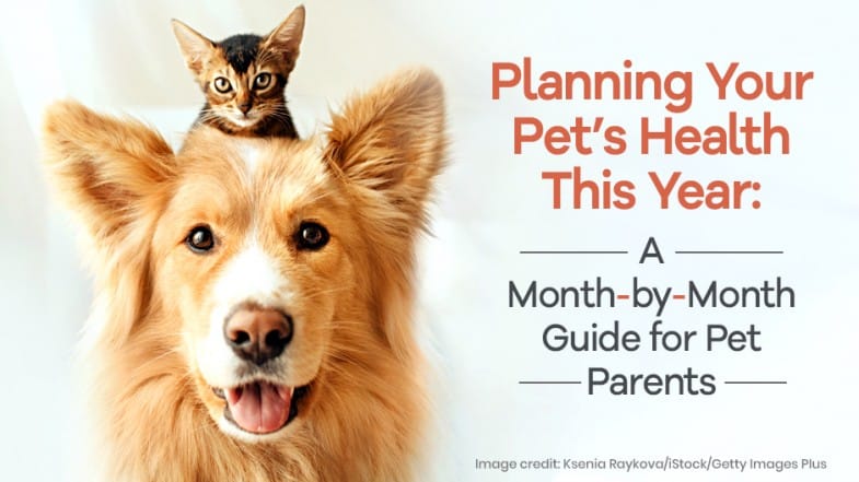 A kitten sits on a dog's head next to text that reads, “Planning Your Pet’s Health This Year: A Month-by-Month Guide for Pet Parents.”.