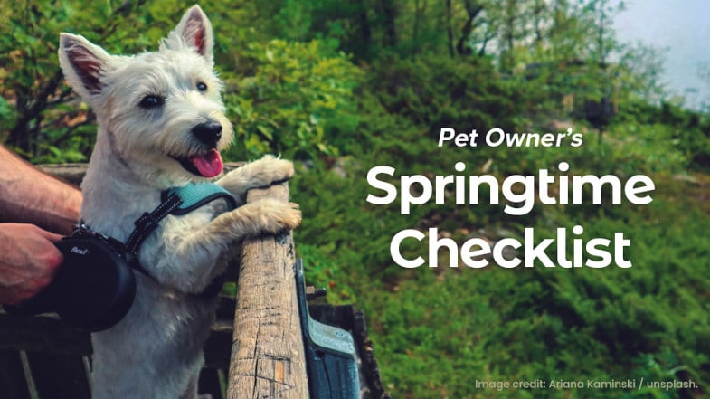 A small white dog with a harness stands on its hind legs, looking over a wooden railing outdoors. Text reads: "Pet Owner’s Springtime Checklist.