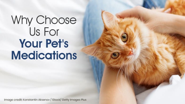 A person holds an orange tabby cat while text on the image reads, "Why Choose Us For Your Pet's Medications.